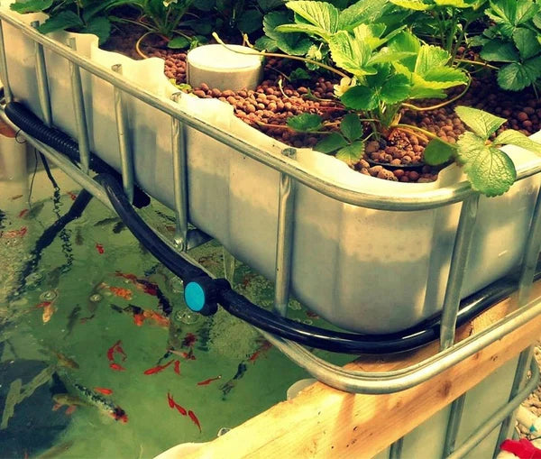 The "Veridia" Hydroponic Farm