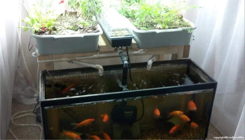 The "Veridia" Hydroponic Farm