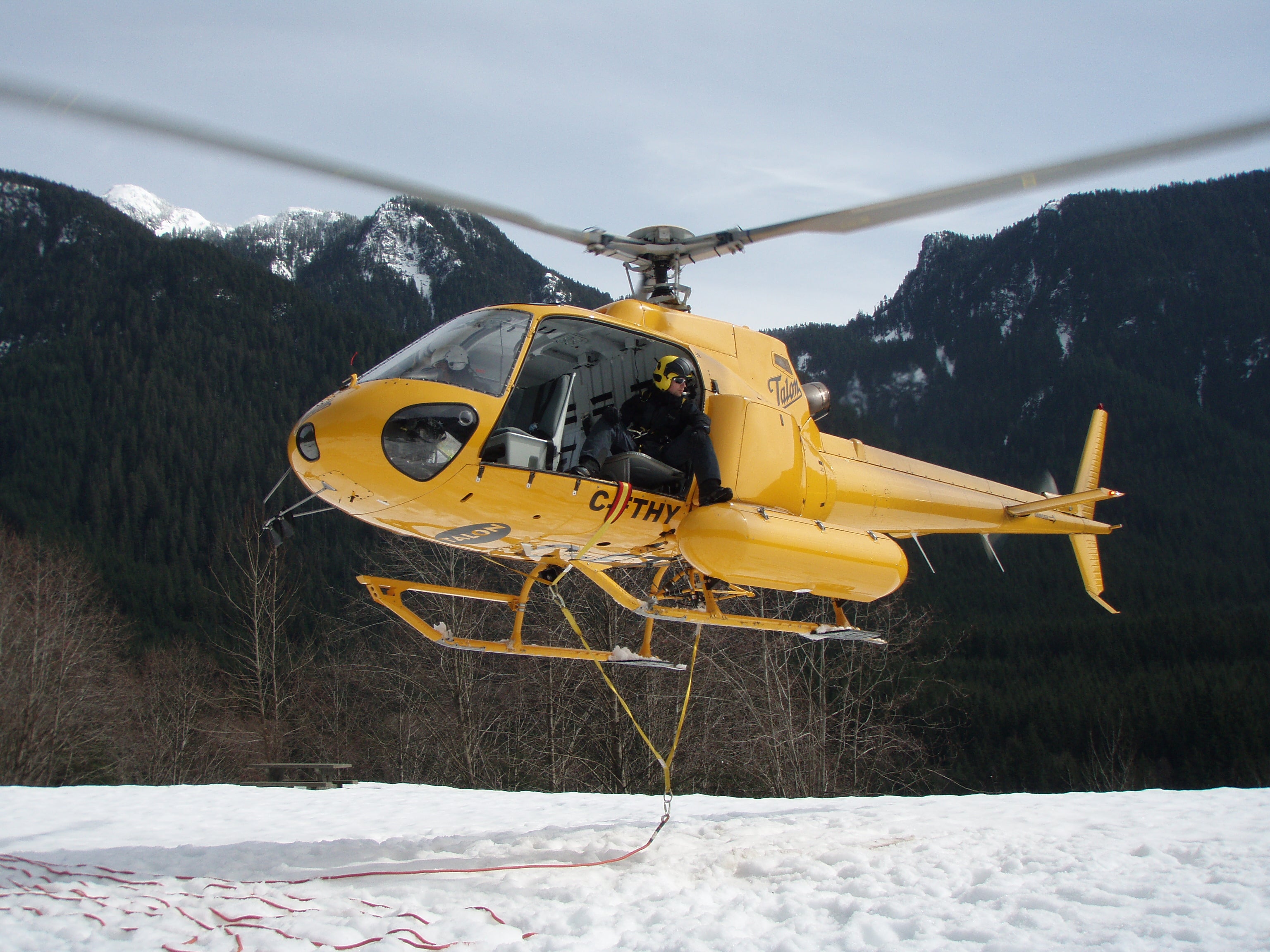 The "Wingman" Evacuation Service