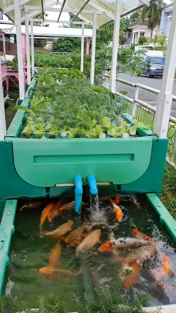 The "Veridia" Hydroponic Farm